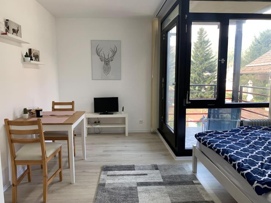 Kleines Einzimmer-Apartment 23 Bad Wildbad Luaran gambar