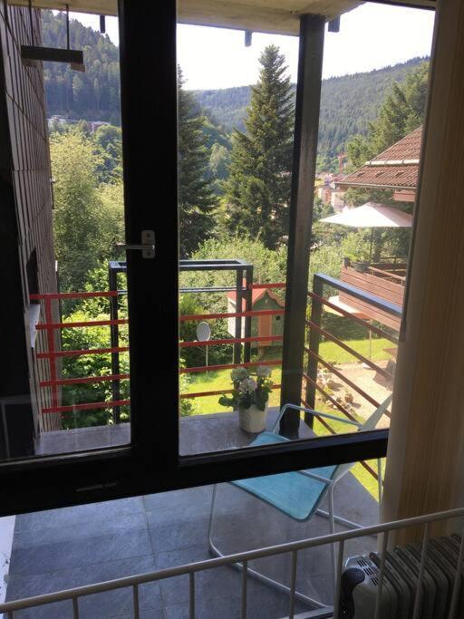Kleines Einzimmer-Apartment 23 Bad Wildbad Luaran gambar