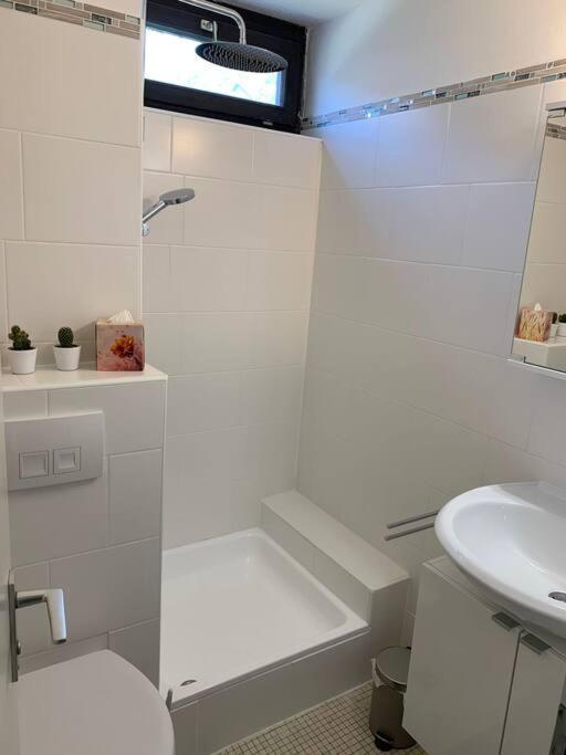 Kleines Einzimmer-Apartment 23 Bad Wildbad Luaran gambar
